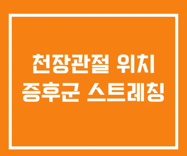천장관절 위치 증후군 스트레칭 천장관절 위치 증후군 스트레칭