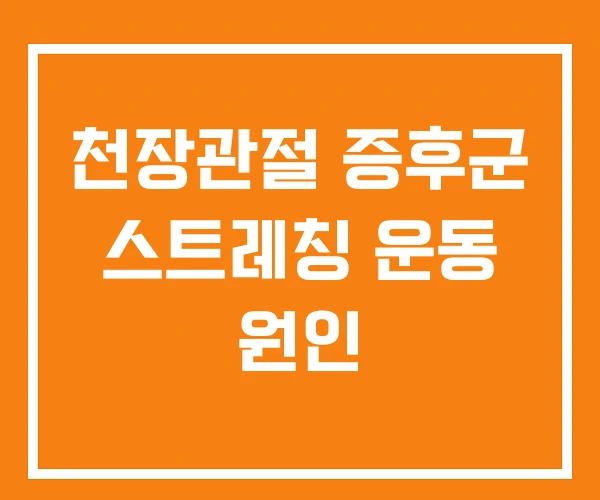 천장관절 증후군 스트레칭 운동 원인 천장관절 증후군 스트레칭 운동 원인