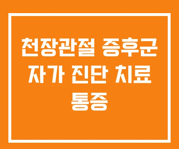 천장관절 증후군 자가 진단 치료 통증 천장관절 증후군 자가 진단 치료 통증
