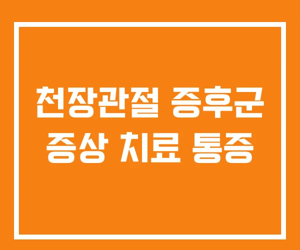 천장관절 증후군 증상 치료 통증 천장관절 증후군 증상 치료 통증