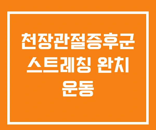 천장관절증후군 스트레칭 완치 운동 천장관절증후군 스트레칭 완치 운동