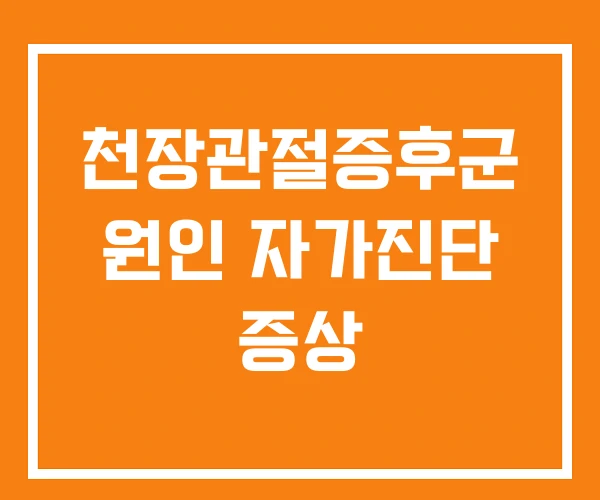 천장관절증후군 원인 자가진단 증상