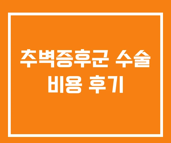 추벽증후군 수술 비용 후기 추벽증후군 수술 비용 후기