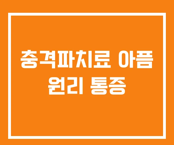 충격파치료 아픔 원리 통증