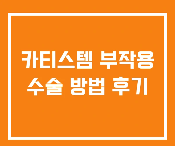 카티스템 부작용 수술 방법 후기 카티스템 부작용 수술 방법 후기