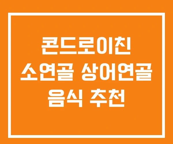 콘드로이친 소연골 상어연골 음식 추천