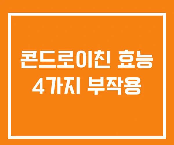 콘드로이친 효능 4가지 부작용