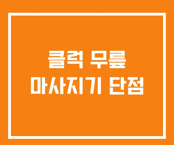 클럭 무릎 마사지기 단점