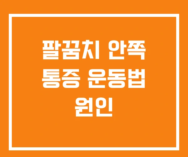 팔꿈치 안쪽 통증 운동법 원인 팔꿈치 안쪽 통증 운동법 원인