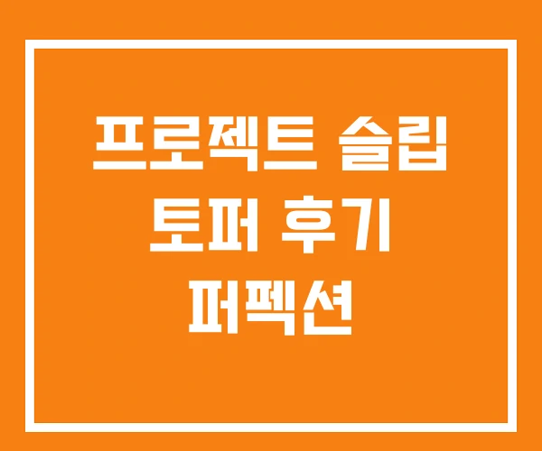 프로젝트 슬립 토퍼 후기 퍼펙션