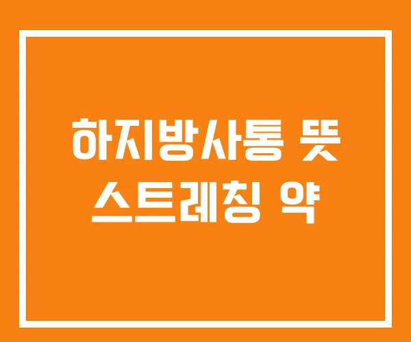 하지방사통 뜻 스트레칭 약