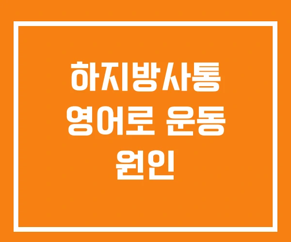 하지방사통 영어로 운동 원인