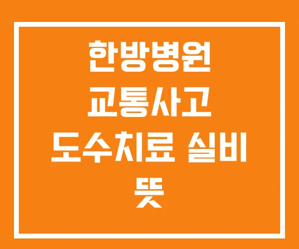 한방병원 교통사고 도수치료 실비 뜻