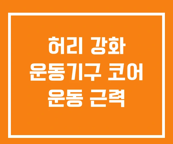 허리 강화 운동기구 코어 운동 근력