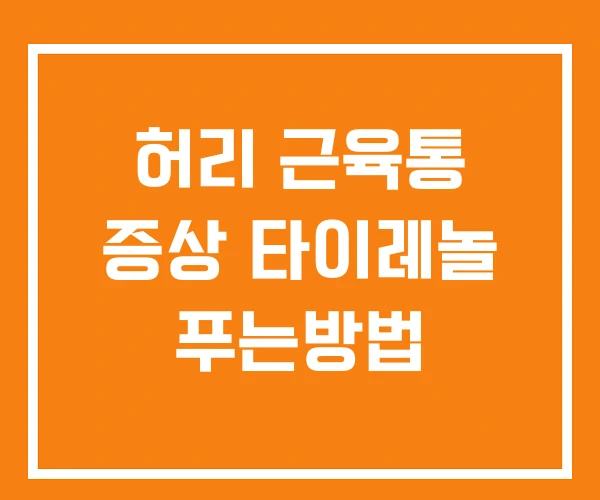 허리 근육통 증상 타이레놀 푸는방법