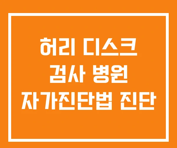 허리 디스크 검사 병원 자가진단법 진단 허리 디스크 검사 병원 자가진단법 진단