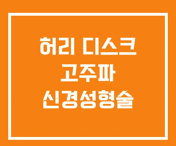 허리 디스크 고주파 신경성형술 허리 디스크 고주파 신경성형술