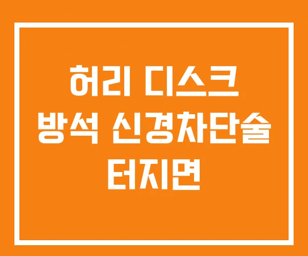허리 디스크 방석 신경차단술 터지면