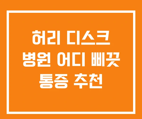 허리 디스크 병원 어디 삐끗 통증 추천