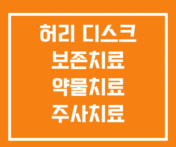 허리 디스크 보존치료 약물치료 주사치료