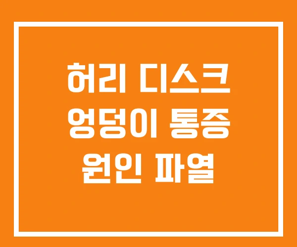 허리 디스크 엉덩이 통증 원인 파열 허리 디스크 엉덩이 통증 원인 파열
