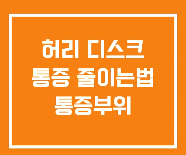허리 디스크 통증 줄이는법 통증부위 허리 디스크 통증 줄이는법 통증부위