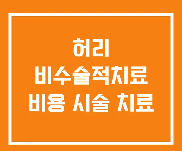 허리 비수술적치료 비용 시술 치료 허리 비수술적치료 비용 시술 치료