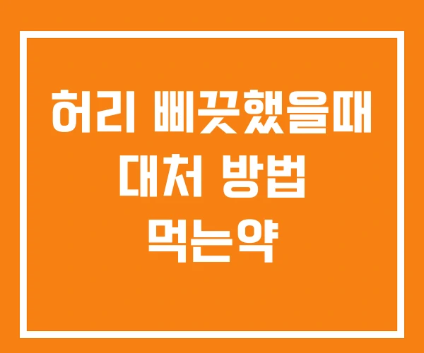 허리 삐끗했을때 대처 방법 먹는약