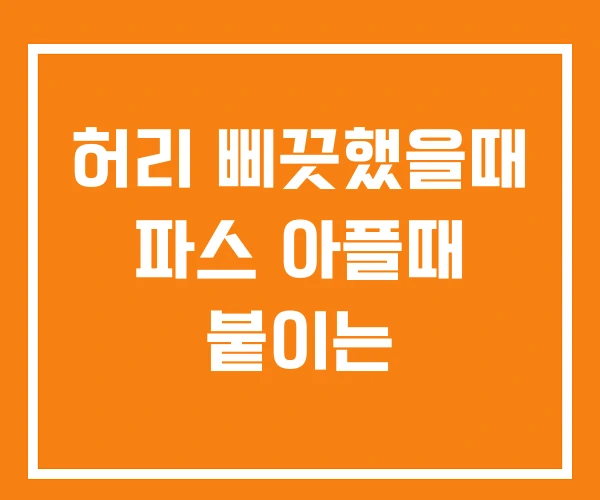 허리 삐끗했을때 파스 아플때 붙이는 허리 삐끗했을때 파스 아플때 붙이는