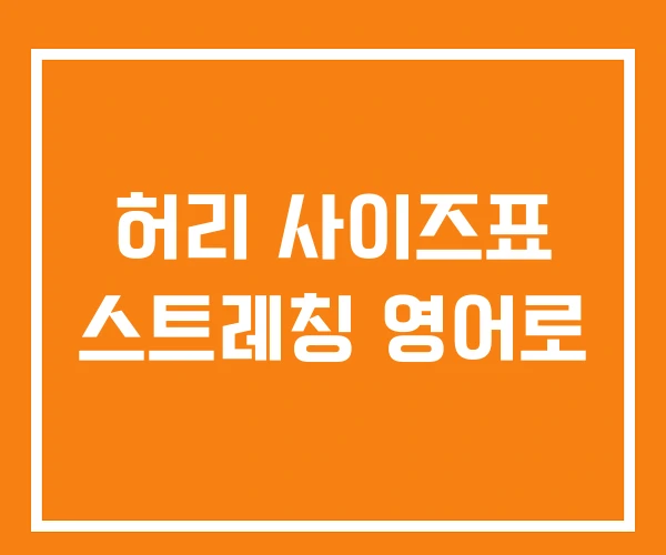 허리 사이즈표 스트레칭 영어로