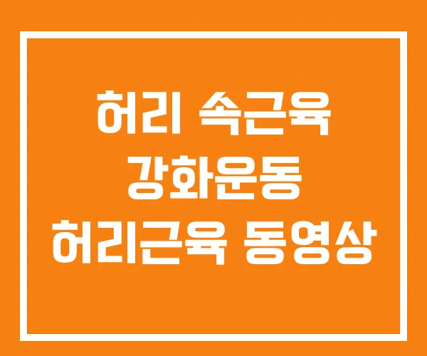 허리 속근육 강화운동 허리근육 동영상 허리 속근육 강화운동 허리근육 동영상