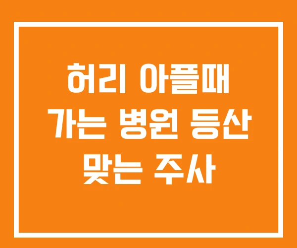 허리 아플때 가는 병원 등산 맞는 주사 허리 아플때 가는 병원 등산 맞는 주사