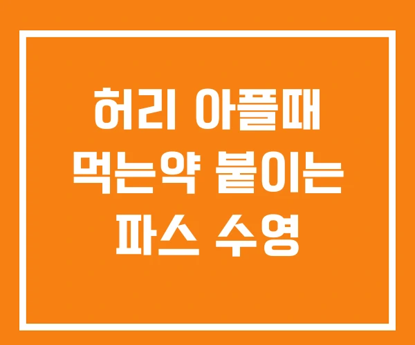 허리 아플때 먹는약 붙이는 파스 수영 허리 아플때 먹는약 붙이는 파스 수영