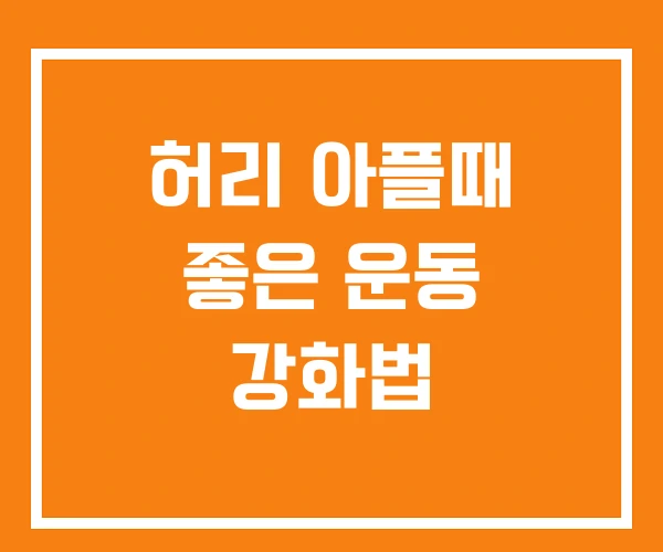 허리 아플때 좋은 운동 강화법
