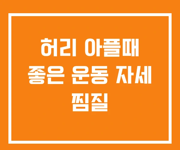 허리 아플때 좋은 운동 자세 찜질 허리 아플때 좋은 운동 자세 찜질