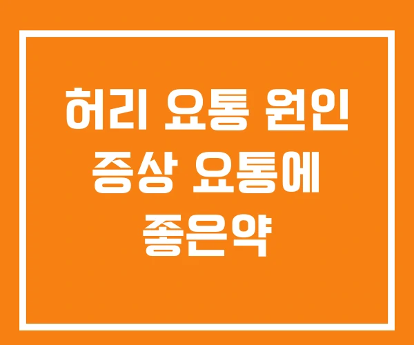 허리 요통 원인 증상 요통에 좋은약 허리 요통 원인 증상 요통에 좋은약