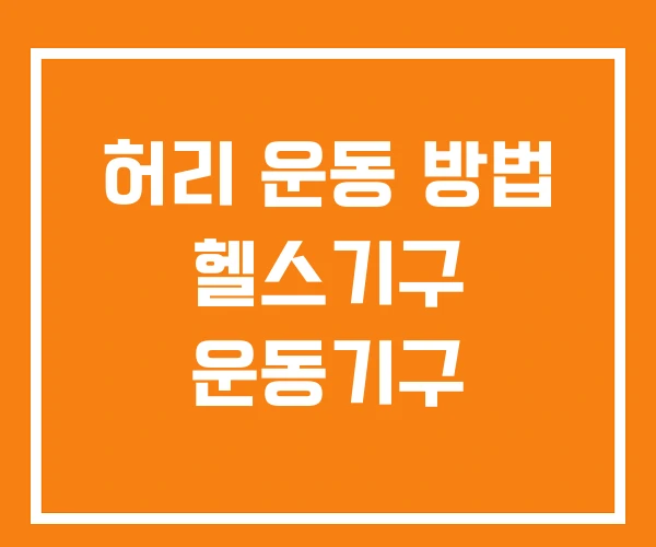허리 운동 방법 헬스기구 운동기구