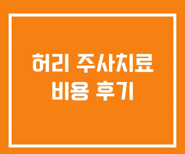 허리 주사치료 비용 후기