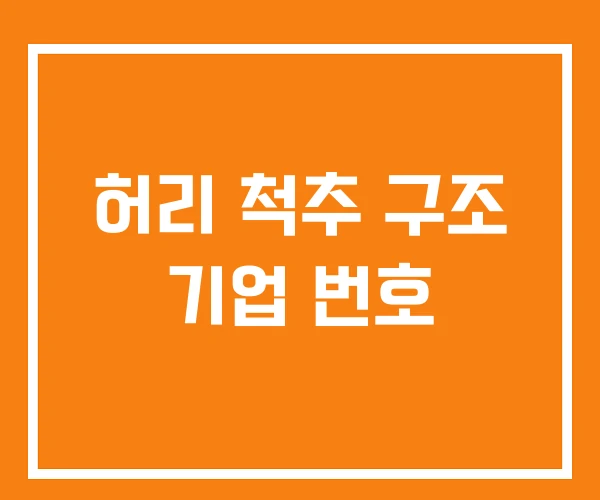 허리 척추 구조 기업 번호 허리 척추 구조 기업 번호