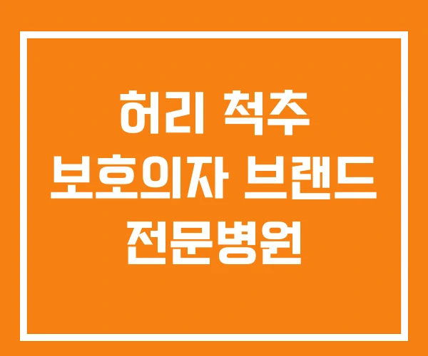 허리 척추 보호의자 브랜드 전문병원