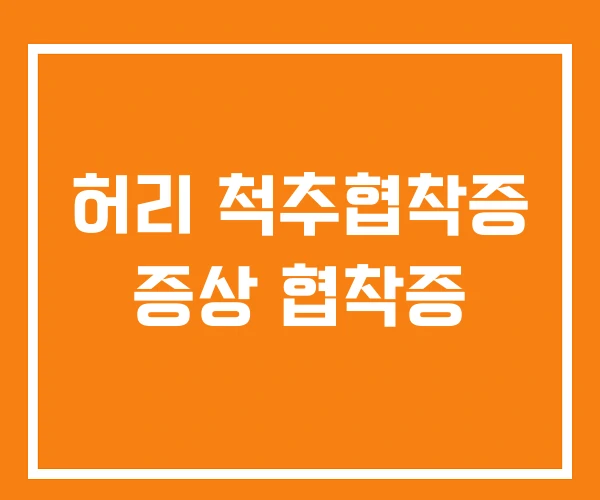 허리 척추협착증 증상 협착증 허리 척추협착증 증상 협착증