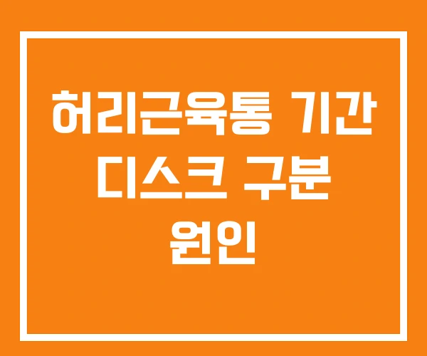 허리근육통 기간 디스크 구분 원인 허리근육통 기간 디스크 구분 원인