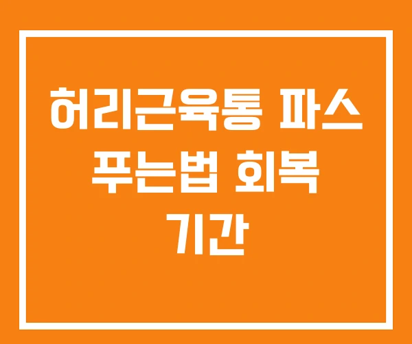 허리근육통 파스 푸는법 회복 기간