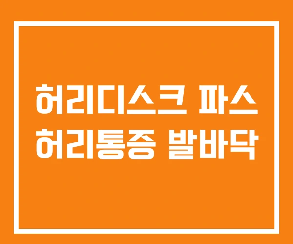 허리디스크 파스 허리통증 발바닥