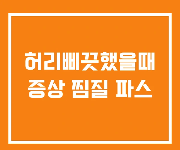 허리삐끗했을때 증상 찜질 파스