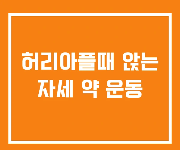 허리아플때 앉는 자세 약 운동