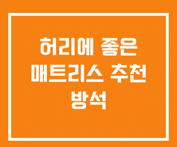 허리에 좋은 매트리스 추천 방석