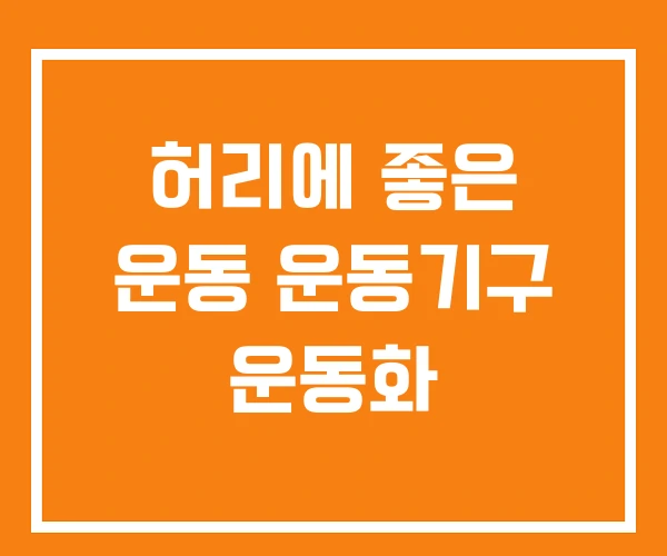 허리에 좋은 운동 운동기구 운동화 허리에 좋은 운동 운동기구 운동화