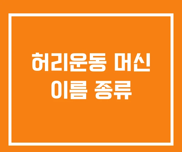 허리운동 머신 이름 종류 허리운동 머신 이름 종류