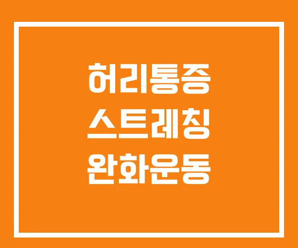 허리통증 스트레칭 완화운동